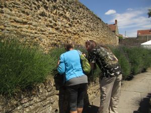 Gay Anne Liberty and Stuart at the Lavender.Glastonbury Abbey.June 16